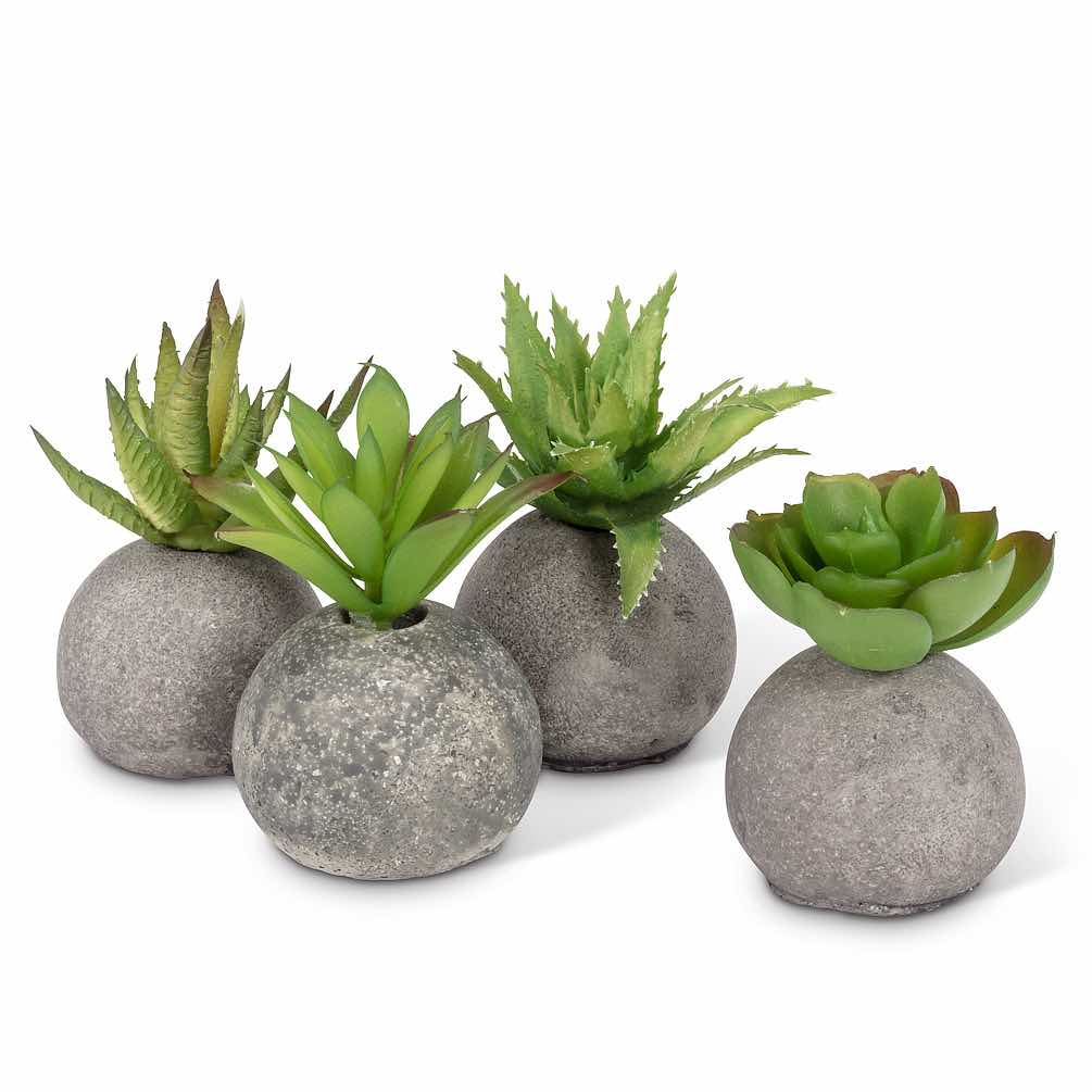 Faux Succulent in Rock